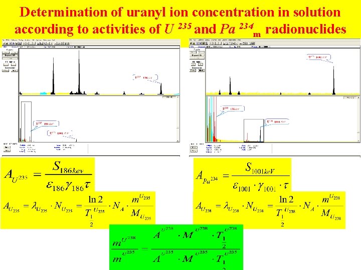 Determination of uranyl ion concentration in solution according to activities of U 235 and