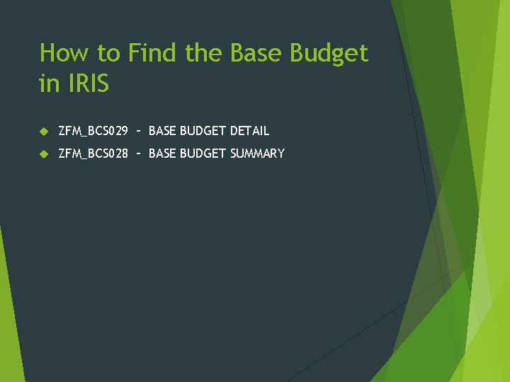 How to Find the Base Budget in IRIS ZFM_BCS 029 – BASE BUDGET DETAIL