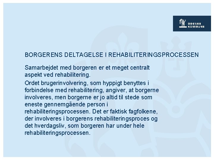 BORGERENS DELTAGELSE I REHABILITERINGSPROCESSEN Samarbejdet med borgeren er et meget centralt aspekt ved rehabilitering.