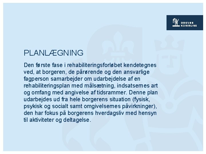 PLANLÆGNING Den første fase i rehabiliteringsforløbet kendetegnes ved, at borgeren, de pårørende og den