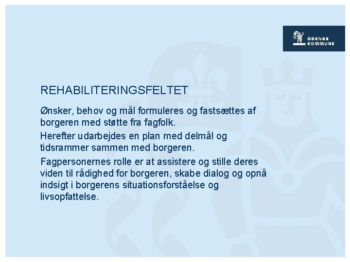 REHABILITERINGSFELTET Ønsker, behov og mål formuleres og fastsættes af borgeren med støtte fra fagfolk.