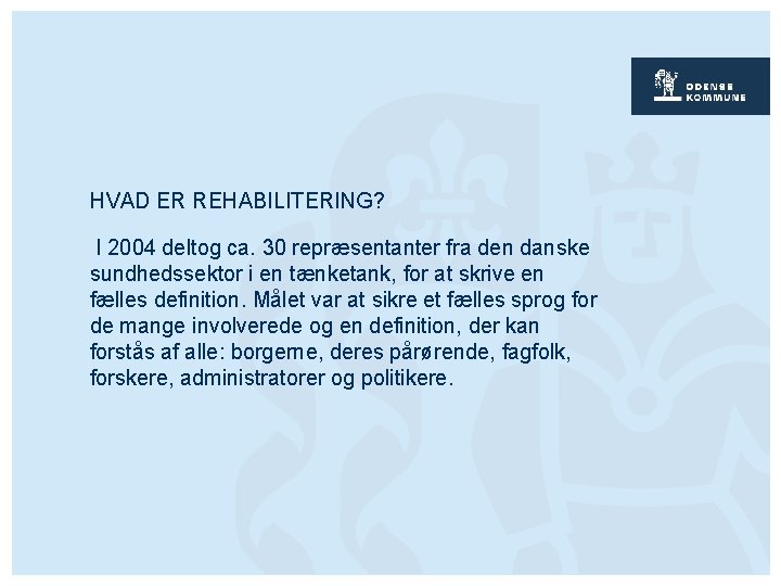 HVAD ER REHABILITERING? I 2004 deltog ca. 30 repræsentanter fra den danske sundhedssektor i