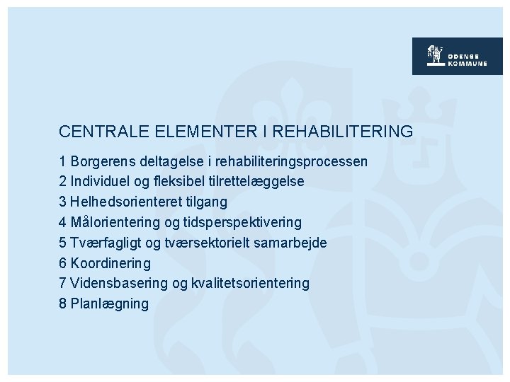 CENTRALE ELEMENTER I REHABILITERING 1 Borgerens deltagelse i rehabiliteringsprocessen 2 Individuel og fleksibel tilrettelæggelse