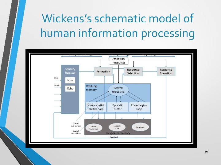 Wickens’s schematic model of human information processing 40 