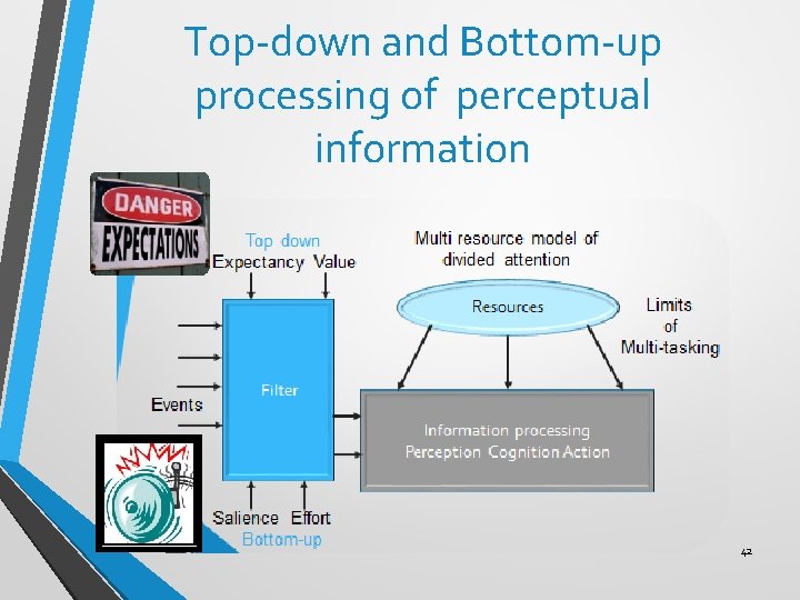 Top-down and Bottom-up processing of perceptual information 42 