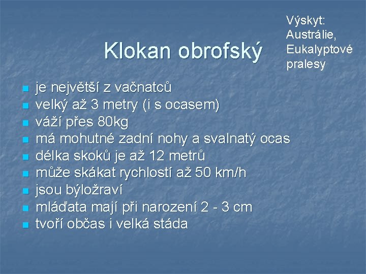 Klokan obrofský n n n n n Výskyt: Austrálie, Eukalyptové pralesy je největší z Klokan obrofský n n n n n Výskyt: Austrálie, Eukalyptové pralesy je největší z