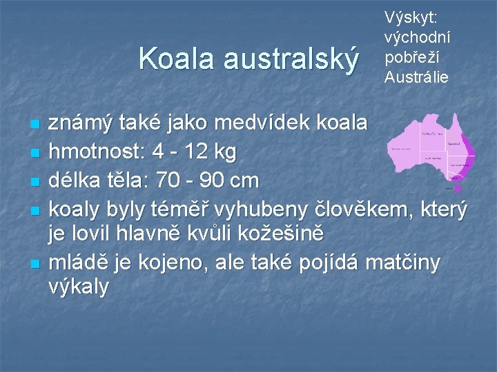 Koala australský n n n Výskyt: východní pobřeží Austrálie známý také jako medvídek koala Koala australský n n n Výskyt: východní pobřeží Austrálie známý také jako medvídek koala