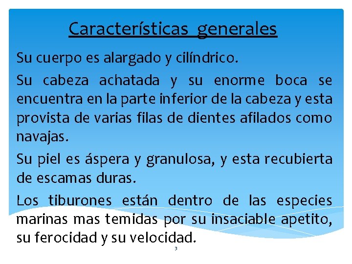 Características generales Su cuerpo es alargado y cilíndrico. Su cabeza achatada y su enorme