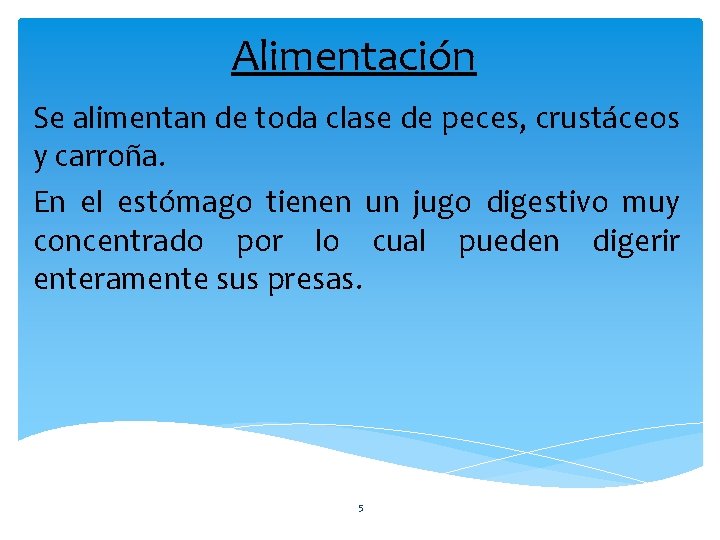 Alimentación Se alimentan de toda clase de peces, crustáceos y carroña. En el estómago