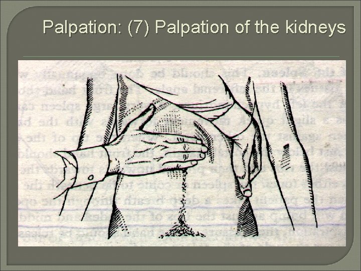 Palpation: (7) Palpation of the kidneys 