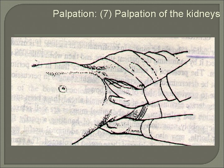 Palpation: (7) Palpation of the kidneys 
