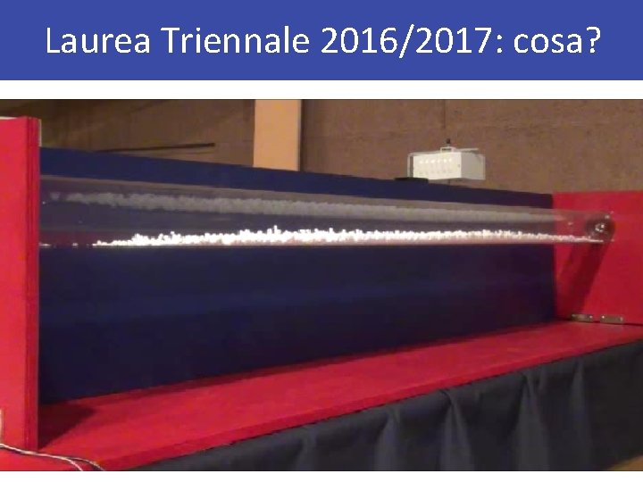 Laurea Triennale 2016/2017: cosa? 