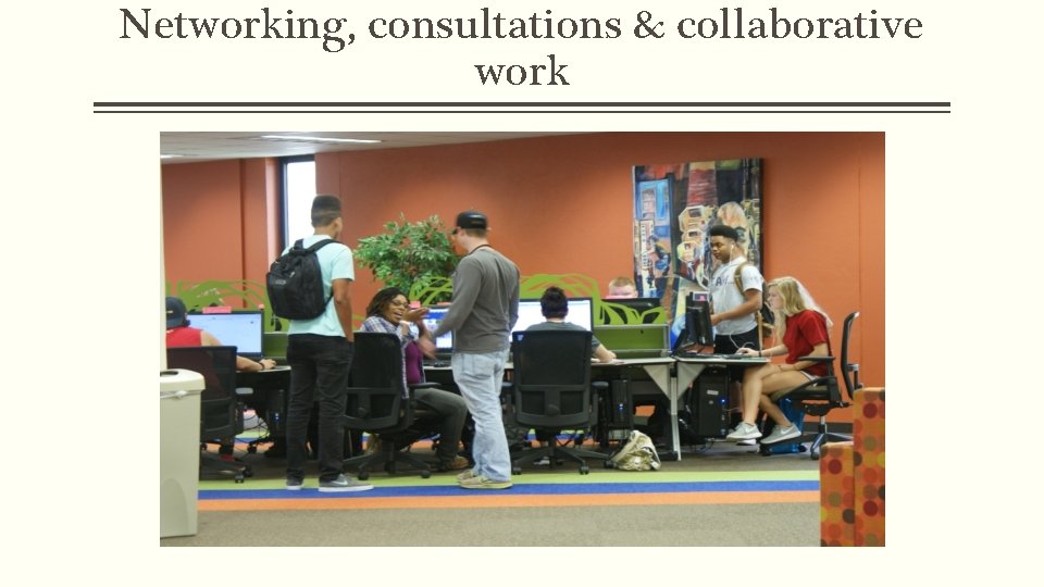 Networking, consultations & collaborative work 