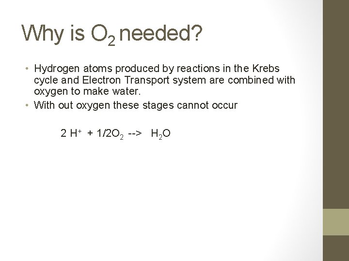 Why is O 2 needed? • Hydrogen atoms produced by reactions in the Krebs