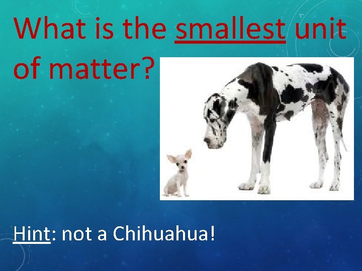 What is the smallest unit of matter? Hint: not a Chihuahua! 