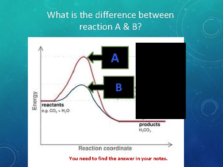 What is the difference between reaction A & B? A B You need to