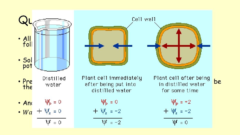 Quick Osmosis recap • 