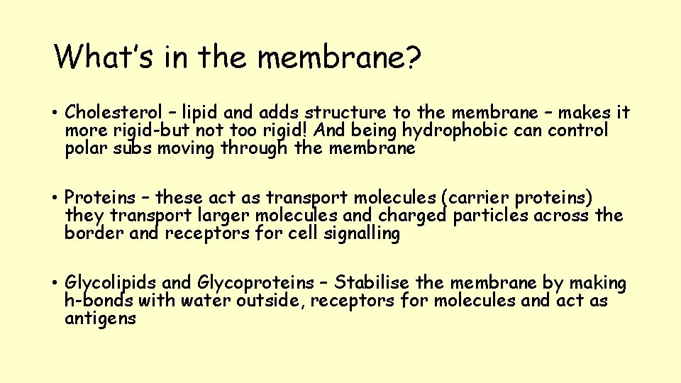 What’s in the membrane? • Cholesterol – lipid and adds structure to the membrane