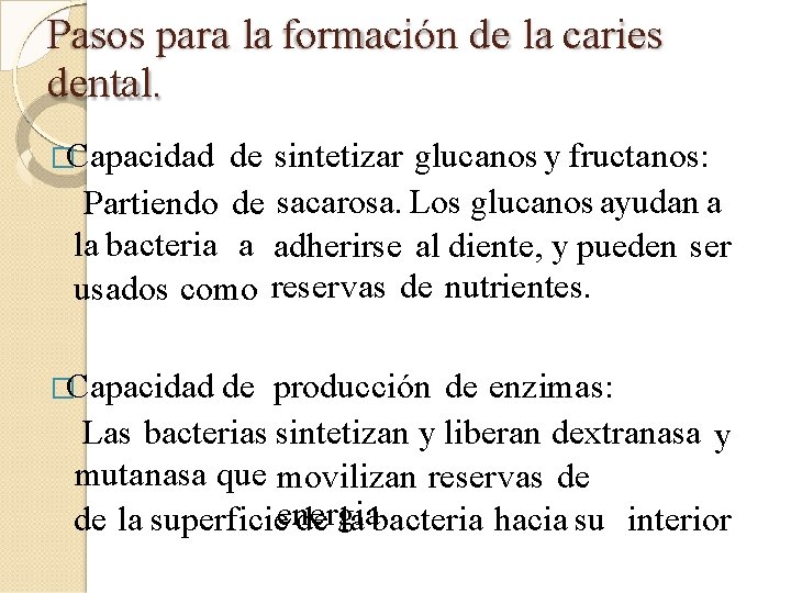 Pasos para la formación de la caries dental. �Capacidad de sintetizar glucanos y fructanos: