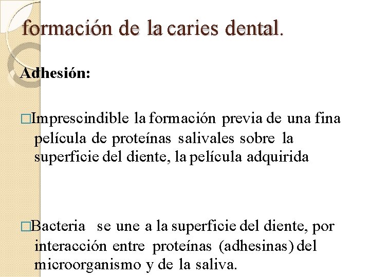 formación de la caries dental. Adhesión: �Imprescindible la formación previa de una fina película