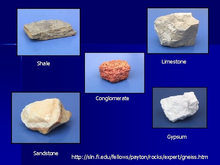 Limestone Shale Conglomerate Gypsum Sandstone http: //sln. fi. edu/fellows/payton/rocks/expert/gneiss. htm 