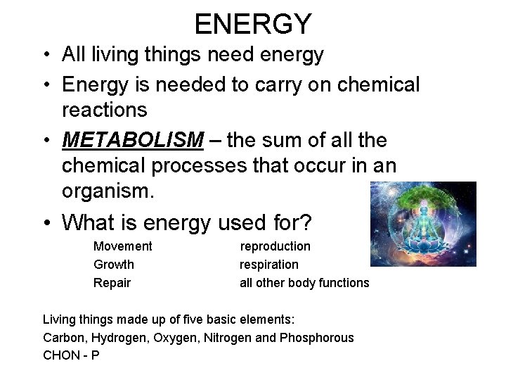 ENERGY • All living things need energy • Energy is needed to carry on