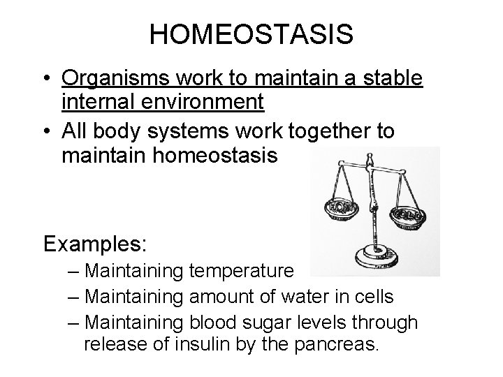 HOMEOSTASIS • Organisms work to maintain a stable internal environment • All body systems