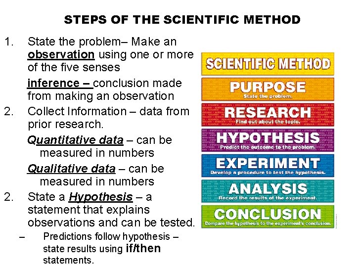 STEPS OF THE SCIENTIFIC METHOD 1. State the problem– Make an observation using one