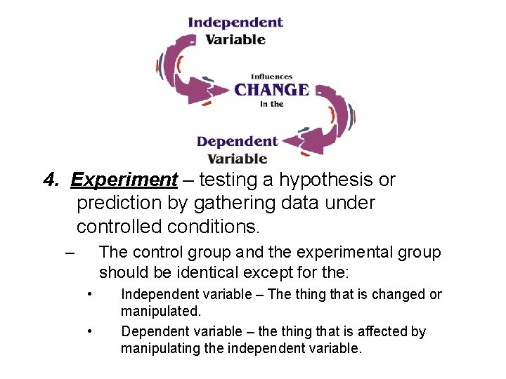 4. Experiment – testing a hypothesis or prediction by gathering data under controlled conditions.