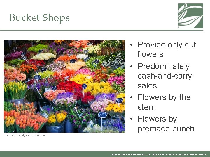 Bucket Shops • Provide only cut flowers • Predominately cash-and-carry sales • Flowers by