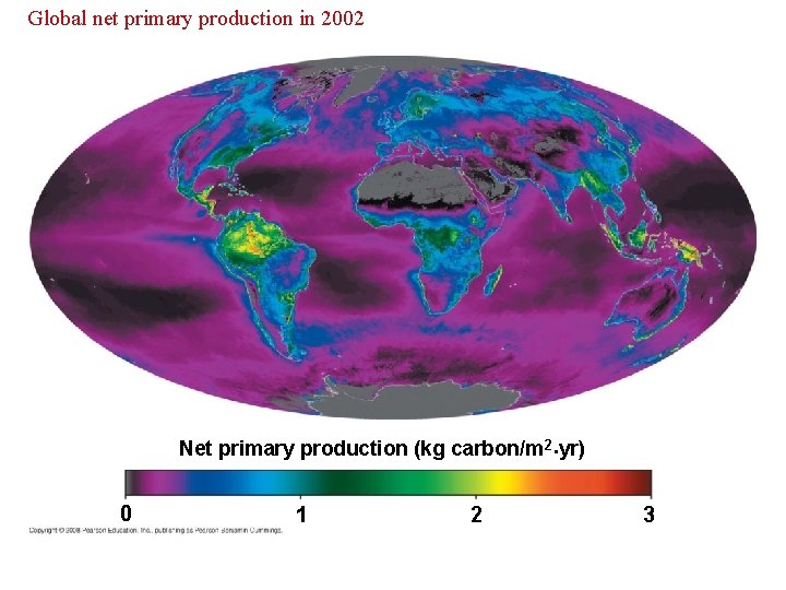 Global net primary production in 2002 Net primary production (kg carbon/m 2·yr) · 0