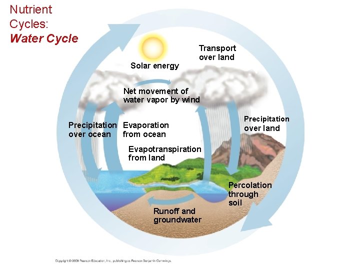 Nutrient Cycles: Water Cycle Solar energy Transport over land Net movement of water vapor