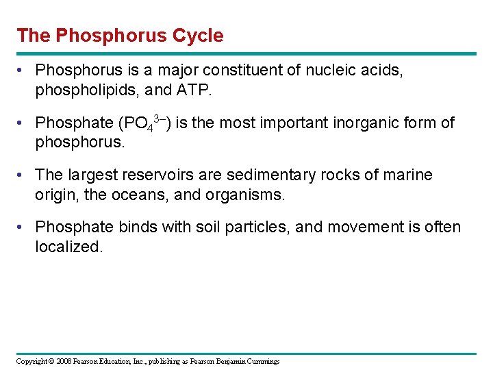 The Phosphorus Cycle • Phosphorus is a major constituent of nucleic acids, phospholipids, and