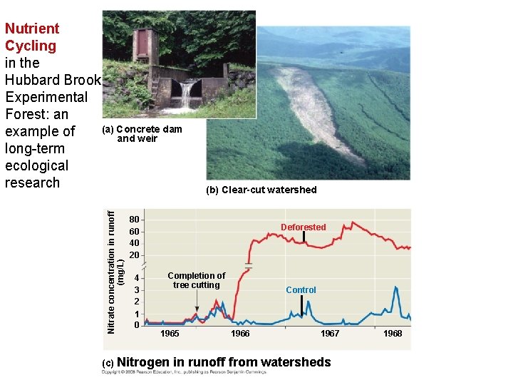 Nitrate concentration in runoff (mg/L) Nutrient Cycling in the Hubbard Brook Experimental Forest: an