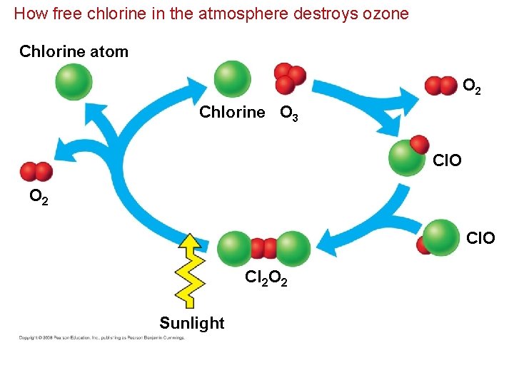 How free chlorine in the atmosphere destroys ozone Chlorine atom O 2 Chlorine O