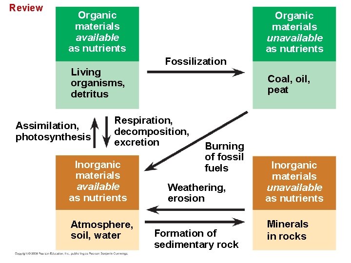 Review Organic materials available as nutrients Living organisms, detritus Assimilation, photosynthesis Organic materials unavailable