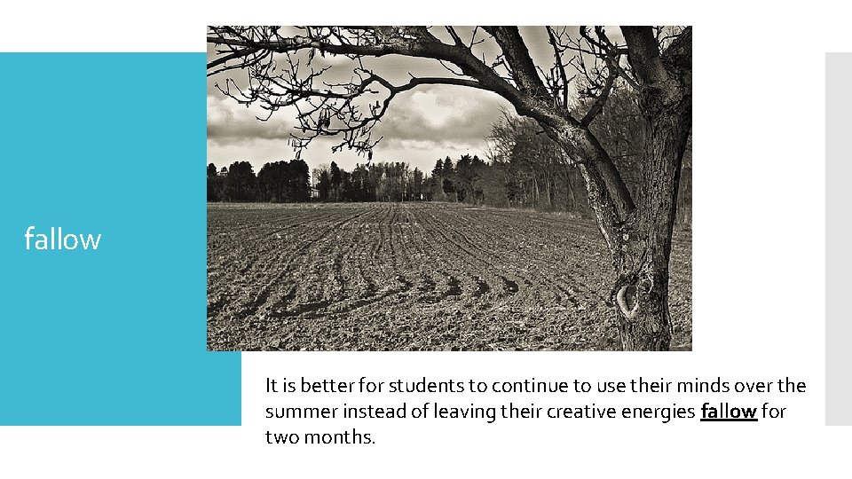 fallow It is better for students to continue to use their minds over the