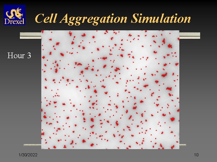 Cell Aggregation Simulation Hour 3 1/30/2022 10 