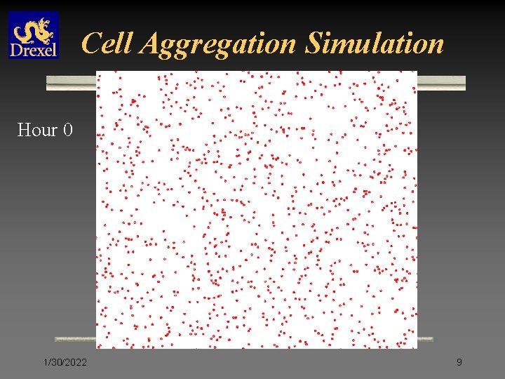 Cell Aggregation Simulation Hour 0 1/30/2022 9 