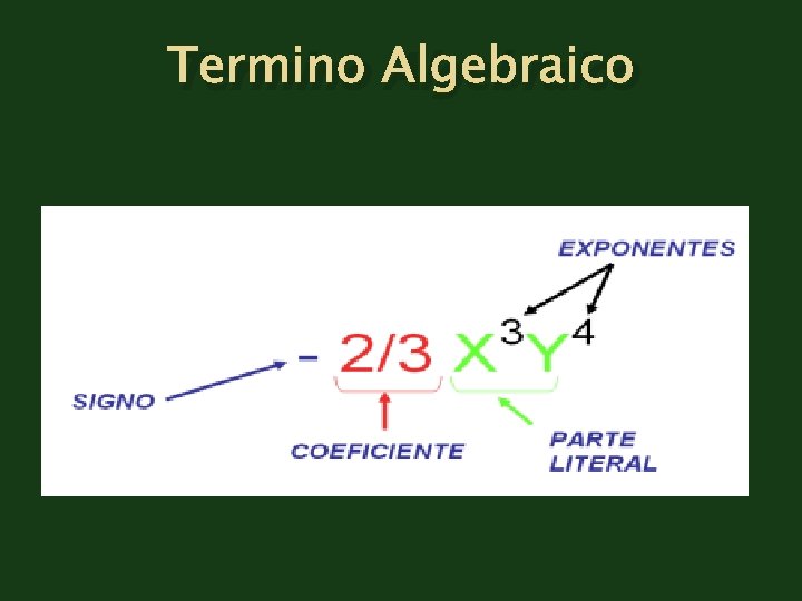 Termino Algebraico 