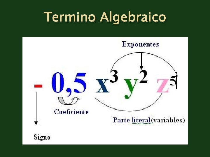 Termino Algebraico 