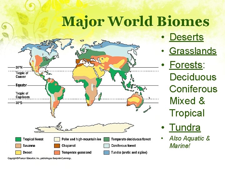 Major World Biomes • Deserts • Grasslands • Forests: Deciduous Coniferous Mixed & Tropical