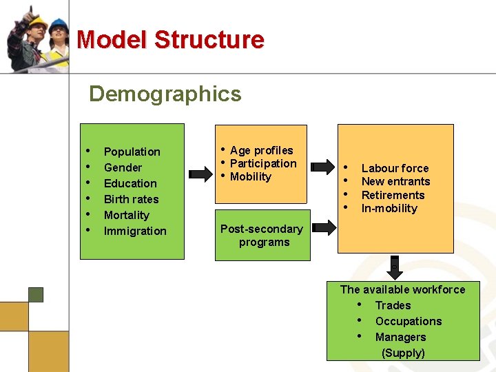 Model Structure Demographics • • • Population Gender Education Birth rates Mortality Immigration •