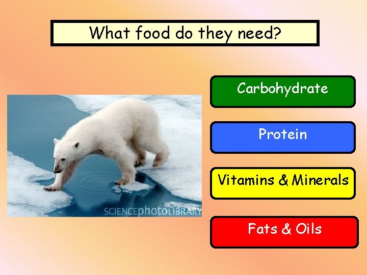 What food do they need? Carbohydrate Protein Vitamins & Minerals Fats & Oils 