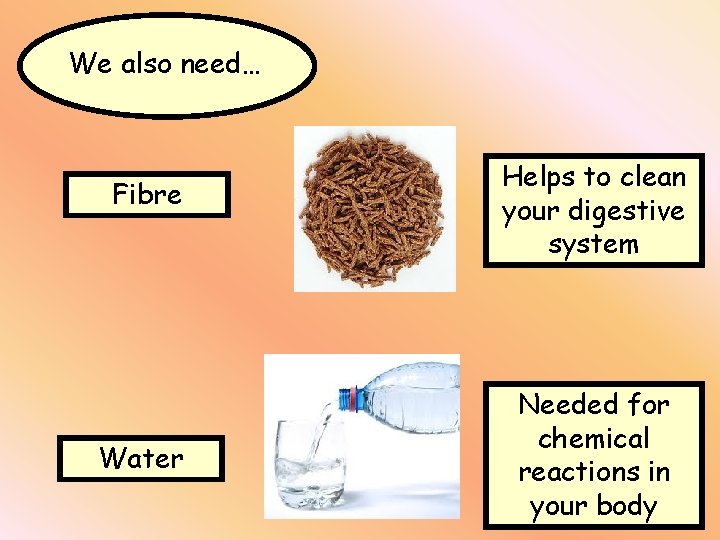 We also need… Fibre Water Helps to clean your digestive system Needed for chemical
