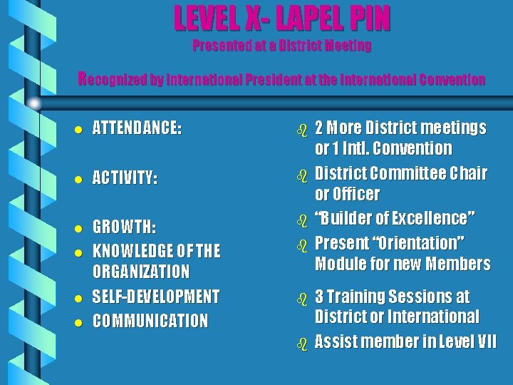 LEVEL X- LAPEL PIN Presented at a District Meeting Recognized by International President at