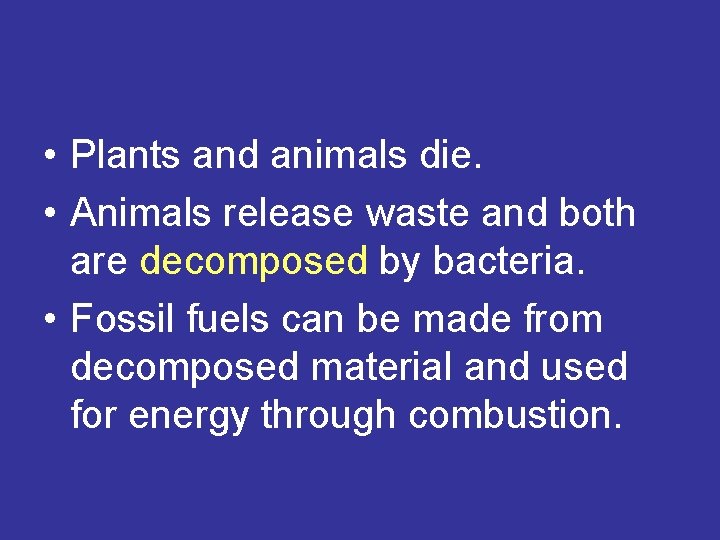  • Plants and animals die. • Animals release waste and both are decomposed