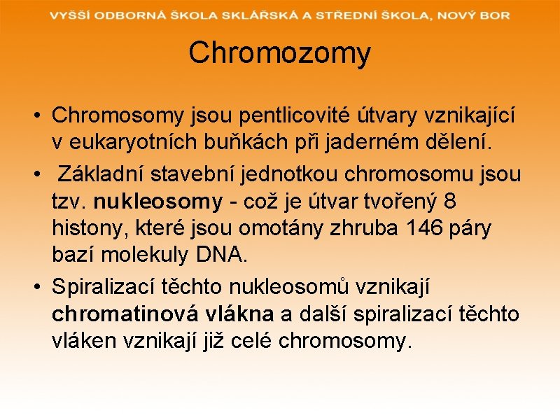Chromozomy • Chromosomy jsou pentlicovité útvary vznikající v eukaryotních buňkách při jaderném dělení. •