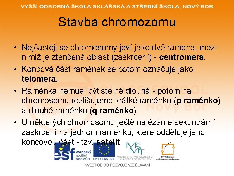Stavba chromozomu • Nejčastěji se chromosomy jeví jako dvě ramena, mezi nimiž je ztenčená