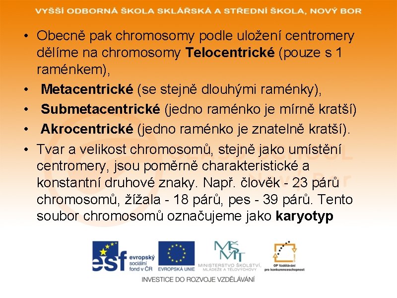  • Obecně pak chromosomy podle uložení centromery dělíme na chromosomy Telocentrické (pouze s